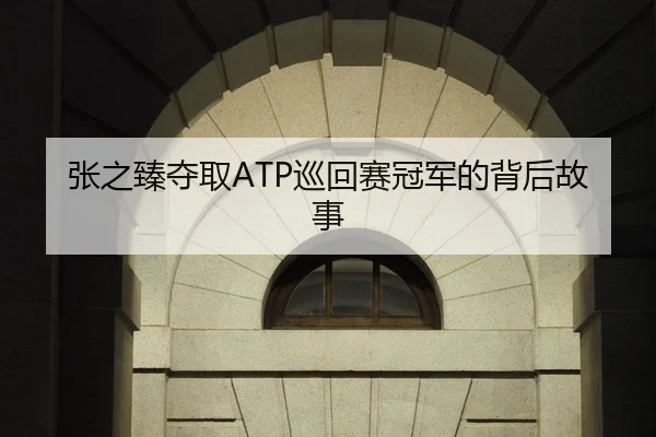张之臻夺取ATP巡回赛冠军的背后故事