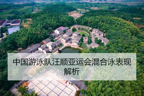 中国游泳队汪顺亚运会混合泳表现解析