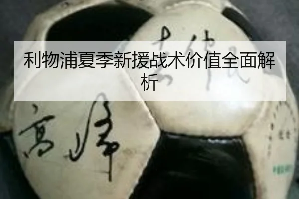 利物浦夏季新援战术价值全面解析